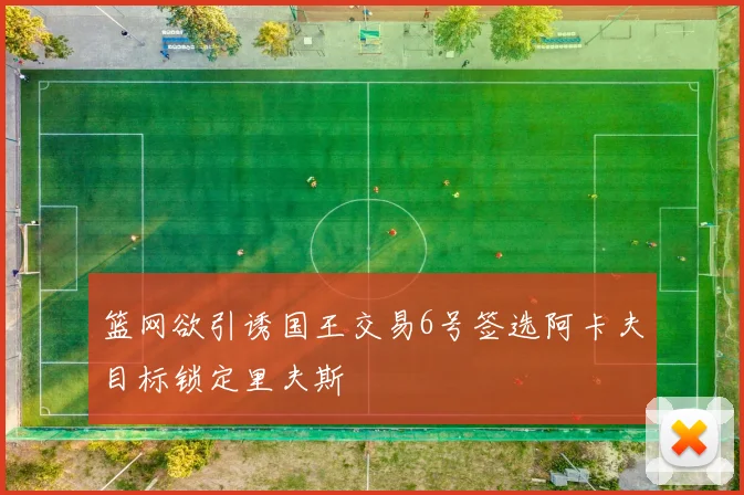 篮网欲引诱国王交易6号签选阿卡夫目标锁定里夫斯